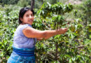 Jóvenes Tlaxcaltecas Aprenden a Trasformar el Campo y el Ambiente