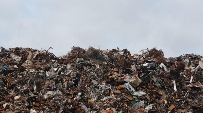 Comisión de Defensa de los Consumidores Aprueba Dictamen para Combatir el Llamado Greenwashing