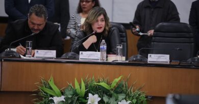 Con la Aprobación de las Reformas Constitucionales, el Gppt Reafirma su Compromiso a Favor del Pueblo de México